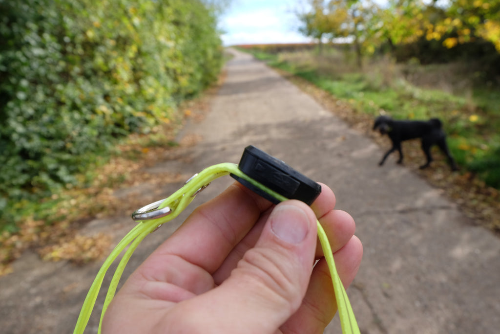 Leuchtendes Halsband