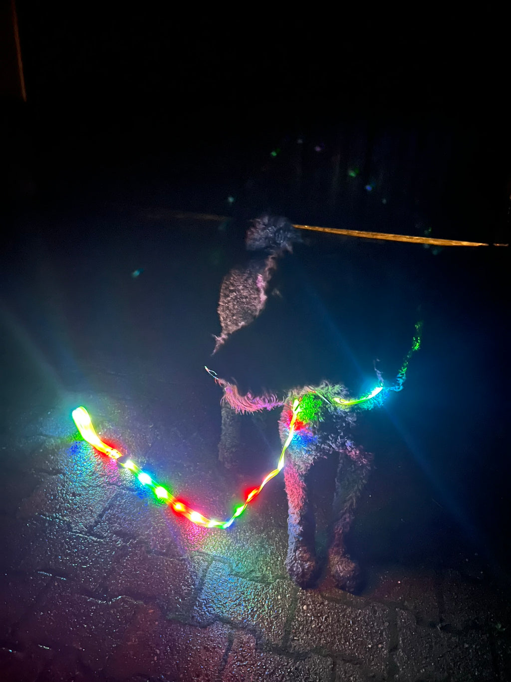 Leuchtendes Halsband